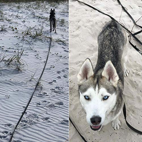 Trainingsleine für Hunde, 5 m, 10 m, 20 m, 30 m, lange Hundeleine, freihändige Hundeleine für kleine, mittelgroße und große Hunde (30 m)