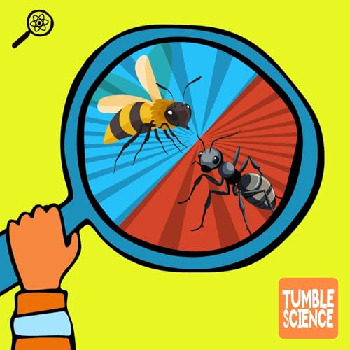 Who Works Harder: Ants or Bees?