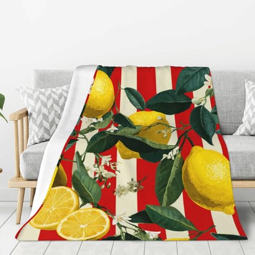 Snugozo Flannel Throw Blanket for Couch, Warm & Lightweight, 40&rdquo;X30&rdquo;, Soft...