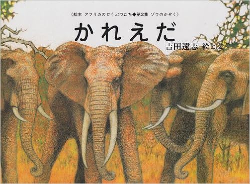 【希少　絶版】　吉田遠志　動物絵本シリーズ　アフリカのどうぶつたち 絶版希少】吉田遠志 動物絵本シリーズ アフリカ 12冊 希少
