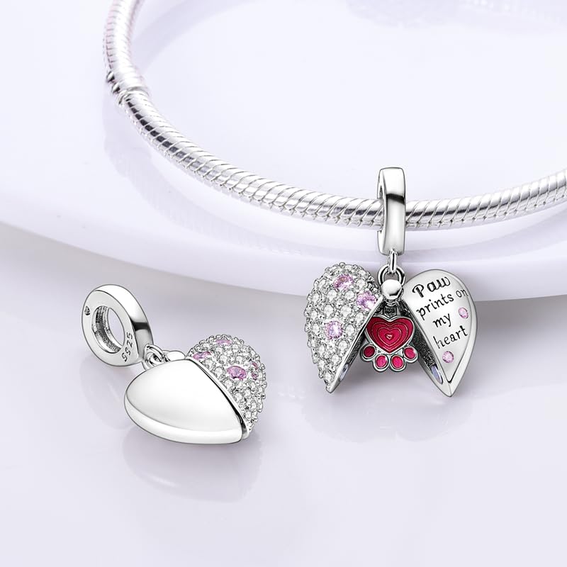 TINSLO Ciondolo Argento Sterling 925 con Cubic Zirconia Pendenti per Pandora Braccialetti, Compatibile con Braccialetti e Collane europei, perfetto Regali per Moglie e Ragazze B1