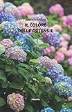 il colore delle ortensie