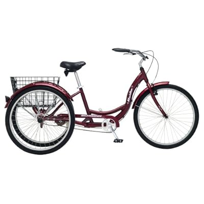 amazon three wheel bicycle