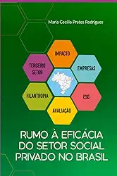 Clube de Autores, Livro RUMO À EFICÁCIA DO SETOR SOCIAL PRIVADO NO BRASIL