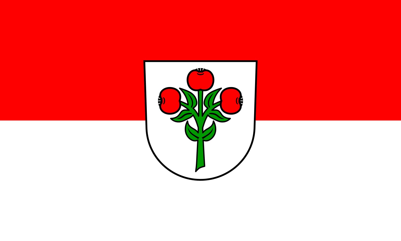 Drapeau Schwarzach de 1.35m² parfait pour mât de jardin et façade
