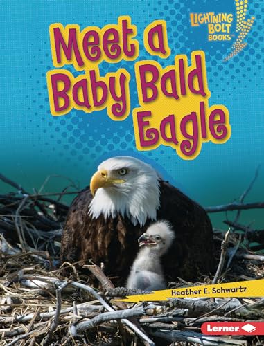 Meet a Baby Bald Eagle (Lightning Bolt Books ® ― Baby North American Animals)