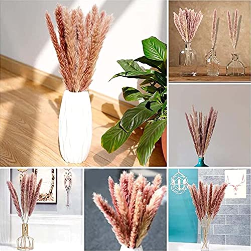 Pampas secas naturais grama palheta ramo boho planta flores secas decoração de casa arranjo de flore