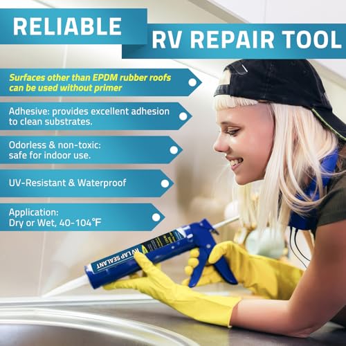 Paulinn AP9065 Self Leveling Lap Sealant White, Rv Roof Sealant thumb #1