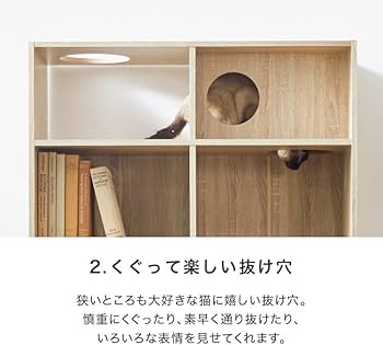 フランスアンティーク猫脚ブックシェルフ/木製本棚/飾り棚/食器棚(90-157) フランスアンティーク猫脚ブックシェルフ/木製本棚/飾り棚/食器