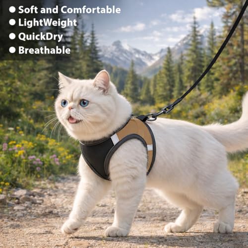 Image of Berlin's Cat Harness with Leash for Outdoor, Walking, Escape Proof, Air Mesh Fabric, Easy Control, Adjustable & Durable Cat Leash with Harness for Cats (Black-Golden, Large)