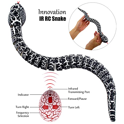 Serpent télécommandé pour surmonter l'ennui des enfants à la maison