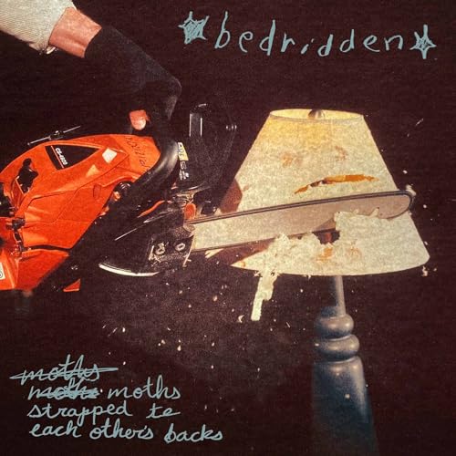 Moths Strapped To Each Other'S Back