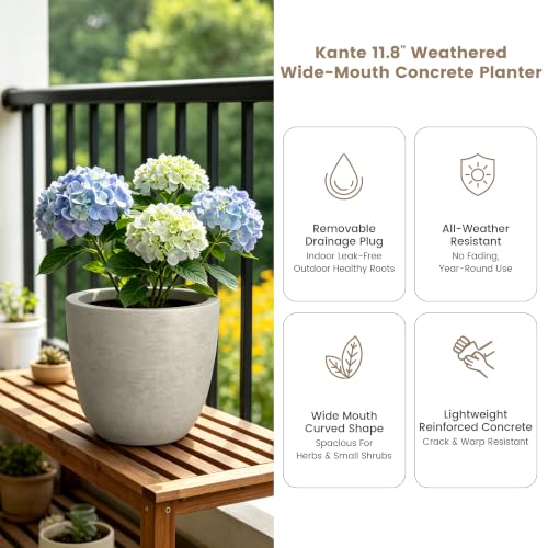 Image of Kante Accent Round Bowl Weathered Concrete Planter 14 inch Dia, Outdoor