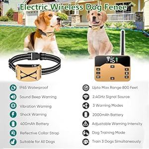 2-in-1-Wireless-Electric-Dog-Fence-3-Dogs-System-Dog-Training-Collar-with-Remote-Wireless-Containment-System-Adjustable-Vibration-Shock-Waterproof-Dogs-Training-Collar-for-All-Dogsfor2do - Cucciolini Doodles   2-in-1-Wireless-Electric-Dog-Fence-3-Dogs-System-Dog-Training-Collar-with-Remote-Wireless-Containment-System-Adjustable-Vibration-Shock-Waterproof-Dogs-Training-Collar-for-All-Dogsfor2do