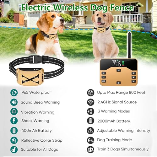 2-in-1-Wireless-Electric-Dog-Fence-3-Dogs-System-Dog-Training-Collar-with-Remote-Wireless-Containment-System-Adjustable-Vibration-Shock-Waterproof-Dogs-Training-Collar-for-All-Dogsfor2do - Cucciolini Doodles   2-in-1-Wireless-Electric-Dog-Fence-3-Dogs-System-Dog-Training-Collar-with-Remote-Wireless-Containment-System-Adjustable-Vibration-Shock-Waterproof-Dogs-Training-Collar-for-All-Dogsfor2do