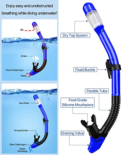 Snorkeling Gear for Adults Men Women,4 in 1 Snorkel Set with Panoramic View Diving Mask Anti-Fog Anti-Leak,Dry Top Snorkel,Fins and Travel Bag for Swimming,Snorkeling and Travel Diving - Image 4