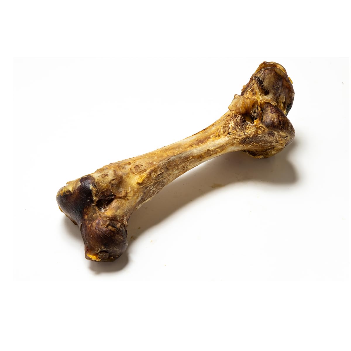 Natural Treats Ostrich Dino Bone for Dogs (1pc) -Dog Bone Pack Chew Range