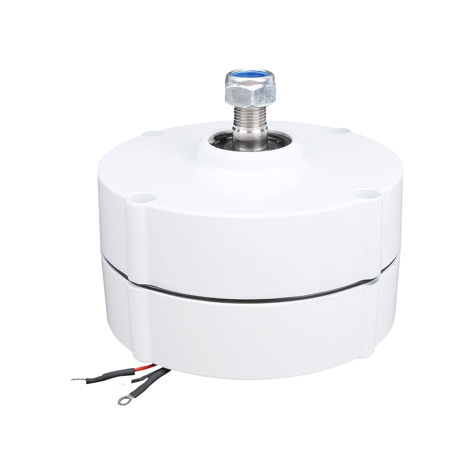 Fafeicy Generatore a Magneti Permanenti, Generatore di Energia Eolica NE-200 Ad Alta Efficienza per Uso Esterno, Alternatore Sincrono da 200 W 12 V (il motore) (il motore)