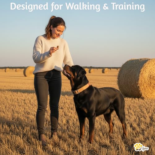Image of ADITYNA Leather Dog Collar for Large & Extra Large Dogs, Adjustable 19-30 inch | Padded, heavy-duty metal buckle. Great for walking, training - ideal for Rottweiler, German Shepherd, Mastiff and Great Dane.