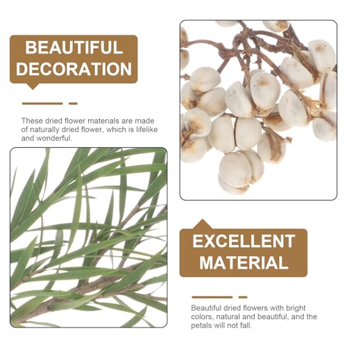 Material de flores secas para manualidades y decoración miniatura 5