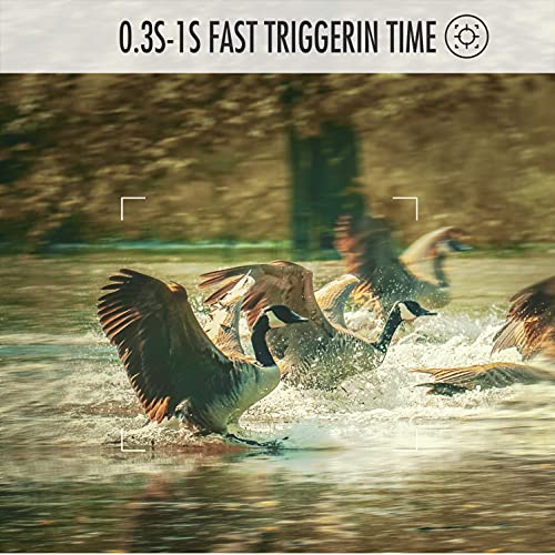 The 5 Best WOSODA Hunting & Trail Cameras of 2024 [Verified] Cherry Picks