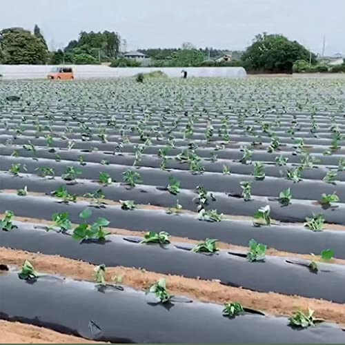 Dmo Pacciame Perforato, 10 × 1,35 M PE Isolamento Agricolo Pellicola Perforata For La Crescita Delle Piante Vegetali A Prova Di Erba, Isolamento Termico For Serra Pacciame Perforato In Plastica 1 Pz