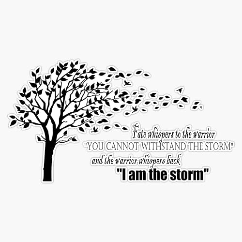 Adhesivo de vinilo con texto en inglés "I Am The Storm, 6 mil de grosor, tamaño 5"