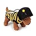 FanQube Bumble Bee Dog Clothes Pet Costume for Puppy and Cat (S)