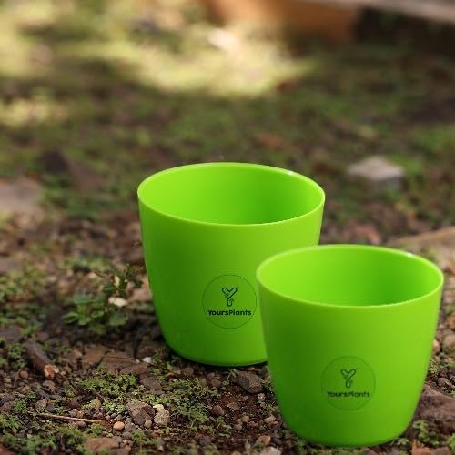 YoursPlants Pot | Planters for Indoor & Outdoor Garden (w25cm X h23cm) (Green Valencia-25 Cm)