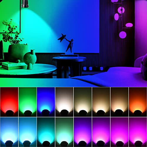 FZWLE Spot Lights Indoor, 5W RGBW Uplighting 16 Color Changing Up Lights Indoor with Remote Control, Plant Spotlight Decorative (2 Pack with Base and Stake)