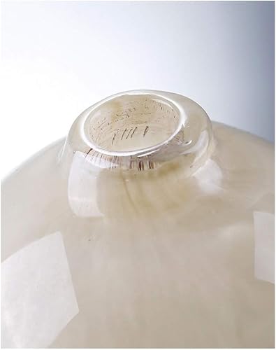 Miniatura 4 de AVEO Jarrón redondo de cristal con arreglo floral para decoración hidropónica, jarrones de decoración para sala de estar, comedor, jarrones para