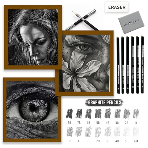 Image of DaKos Professional Sketching Pencil Set for Artists - Complete Drawing Kit with Graphite Pencils Set & Carry Box, Art Supplies for Shading & Sketching (22 Pcs)