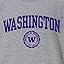 Washington Huskies - Charcoal Grey