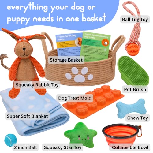 New Puppy Gift Basket for Puppies, Adopted Dogs & Small Family Dogs - Chew Toys, Squeaky Toys, Toy Box, Treat Mold, Pet Blanket - Dog Gift Basket Essentials - Image 3