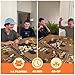 Spin Master Games, SolidRoots Escaping Extinction, Cooperative Strategy Board Game from The Makers of Mind The Gap, for Kids & Family, 1-4 Players, for Ages 12 & Up