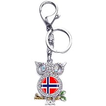 Wedarego 3D Norway Flag Owl-Shaped Metal Keychain Keyring Souvenir Bag Decoration Men Women Pendant Accessories Gift