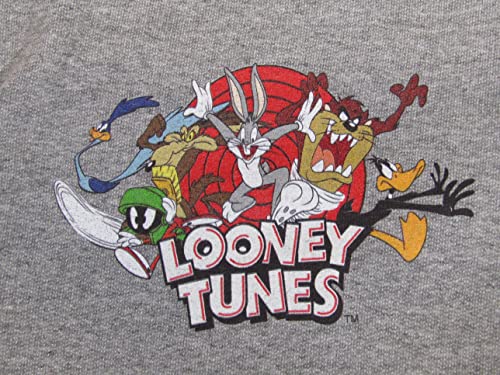 Bioworld Looney Tunes Characters Youth Heather Gray Sweat Pants2