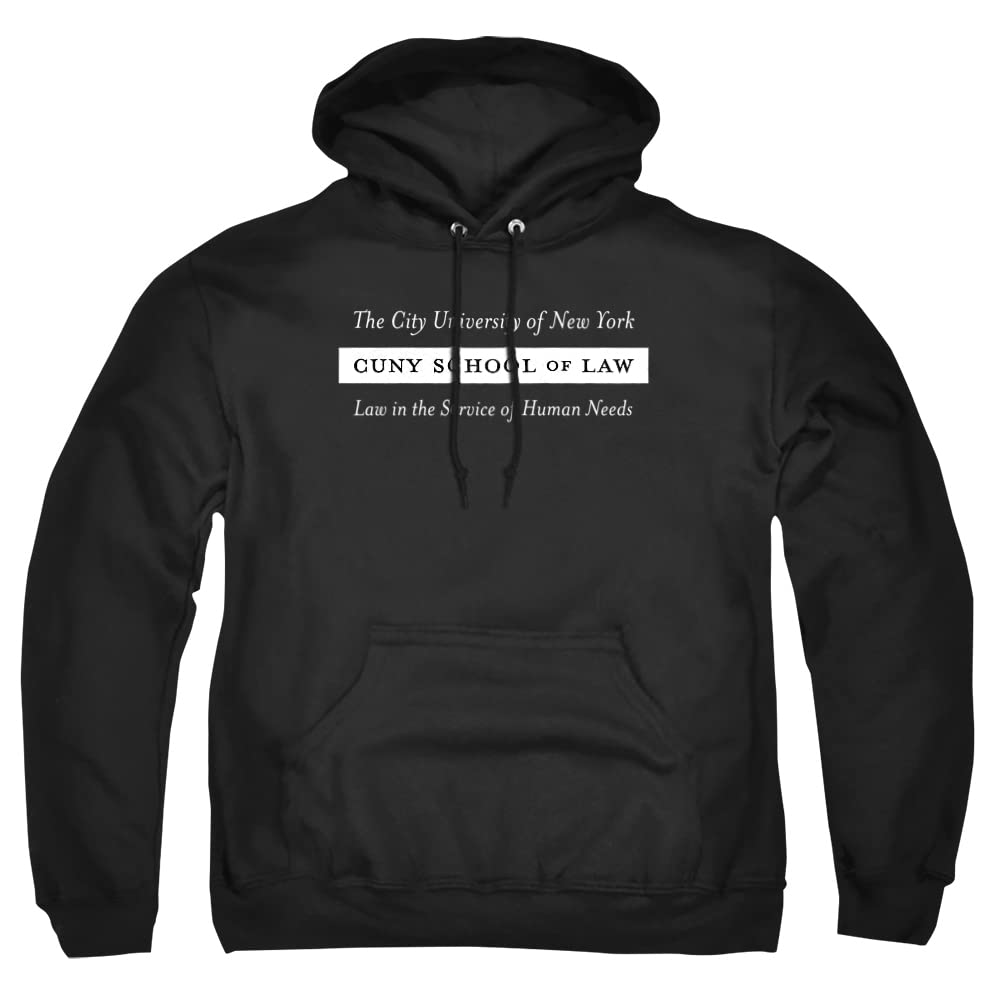 LOGOVISION Official Collegiate Distressed Primary Logo Adult Pullover Hoodie Collection — view 97