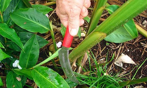Barnel BLK725P Cuchillo para Jardín 9.5" miniatura 3