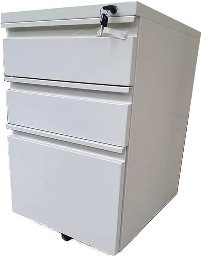 BoeWan Filing Organizer Metal Mobile File