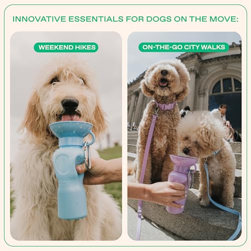 Image of Springer Dog Water Bottle | Portable Travel Drinking Feeder Dispenser for Dogs & Puppies | As Seen on Shark Tank | Leak-Proof Bowl | BPA-Free | Outdoor Walking, Hiking & Travel | 22oz Gray