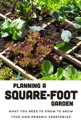 Planning A Square-Foot Garden: What You Need To Know To Grow Your Own Organic Vegetables: Square Foot Garden Layout