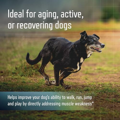 Image of Virbac URSOLYX Soft Chews for Dogs | Muscle Health Support for Senior, Active or Recovering Dogs, Medium 30-60lbs | 60 Count 2- Month Supply