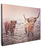 MuchoWow© Cuadros Decorativos Modernos para Sala 70x50 cm Lienzos Decoracion Pared Salon Quadros Decoração Dormitorios Highlander escocés - Invierno - Nieve - Vaca - Prado - Marrón