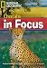 Cheetahs in Focus (Book with Multi-ROM): Footprint Reading Library 2200 (Footprint Reading Library: Level 6)