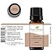 Plant Therapy Roman Chamomile Essential Oil 100% Pure, Undiluted, Natural Aromatherapy, Therapeutic Grade 10 mL (1/3 oz)