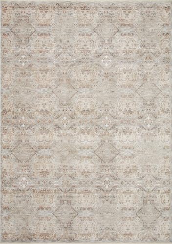 Loloi Amber Lewis Zuma Silver/Multi 9'-6" x 13'-1" Area Rug