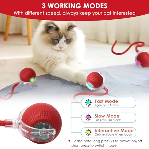 Afaneep Interaktives Katzenspielzeug Katzenball Selbstrollend Elektrisch Ball USB-Aufladung Magic Ball Hund Automatisch Rollende 3 Arbeitsmodi Interaktiver Spielballmit Schwanz für Katzen und Hunde