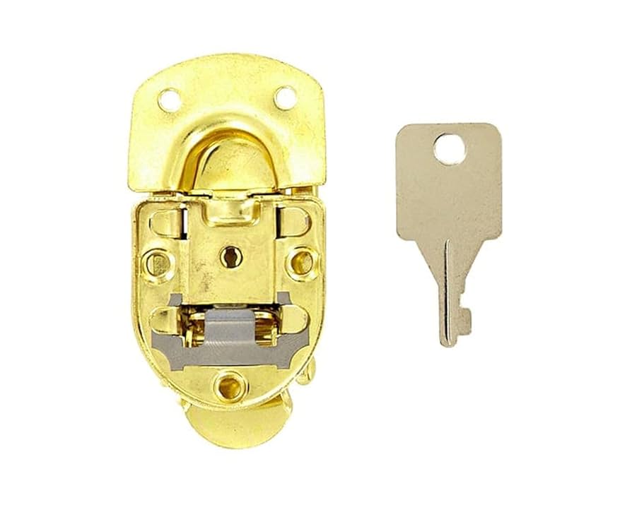 ス*グ様 HONEY？　リッケンバッカータイプ　ハードケース付き 現状 ス*グ様 HONEY？ リッケンバッカータイプ ハードケース付き 現状