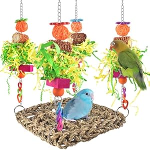 ERKOON Bird Cockatiel Toys Foraging Toys Hanging Parrot Toys for Lovebrid Parakeets Conures Bird Foraging Wall with Colorful Toys for Birds Shredding Seagrass, Birds Cage Toy Accessories